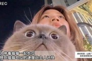 吃瓜的猫,吃瓜猫的趣味生活揭秘